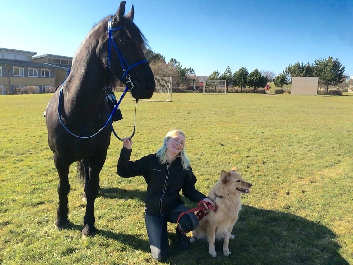 Frieser Lobke Fan It Jaachpaad billede 12