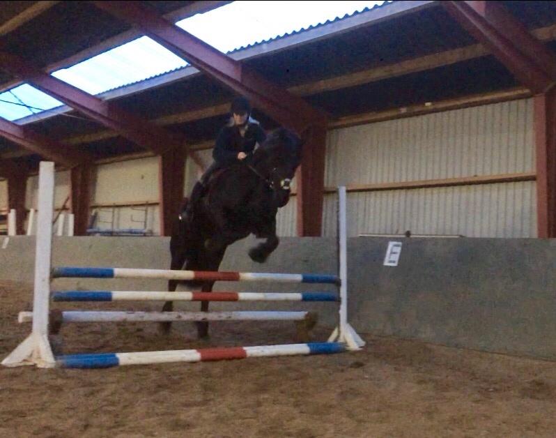 Frieser Lobke Fan It Jaachpaad billede 15