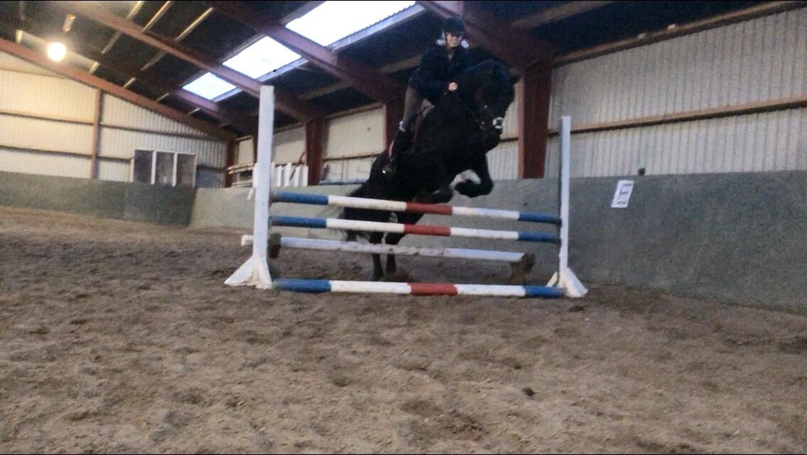 Frieser Lobke Fan It Jaachpaad billede 16