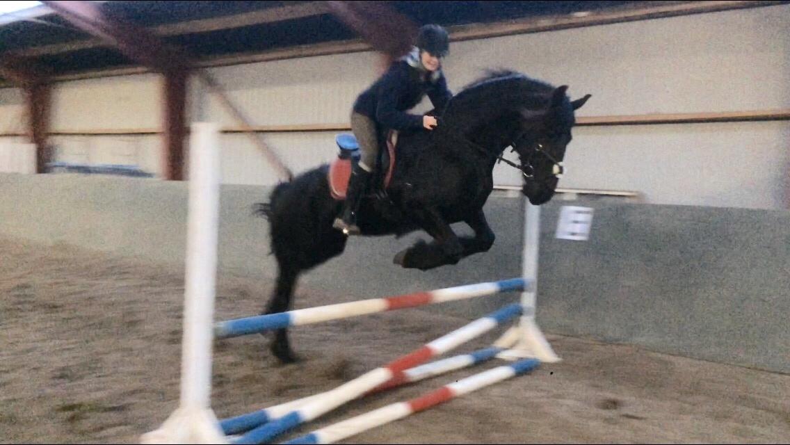 Frieser Lobke Fan It Jaachpaad billede 19