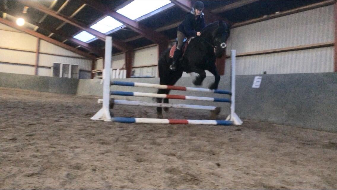 Frieser Lobke Fan It Jaachpaad billede 20