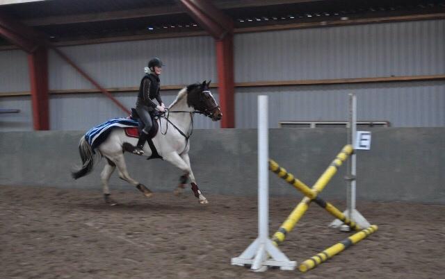 Pinto Randrupmølles Grace Kelly billede 14