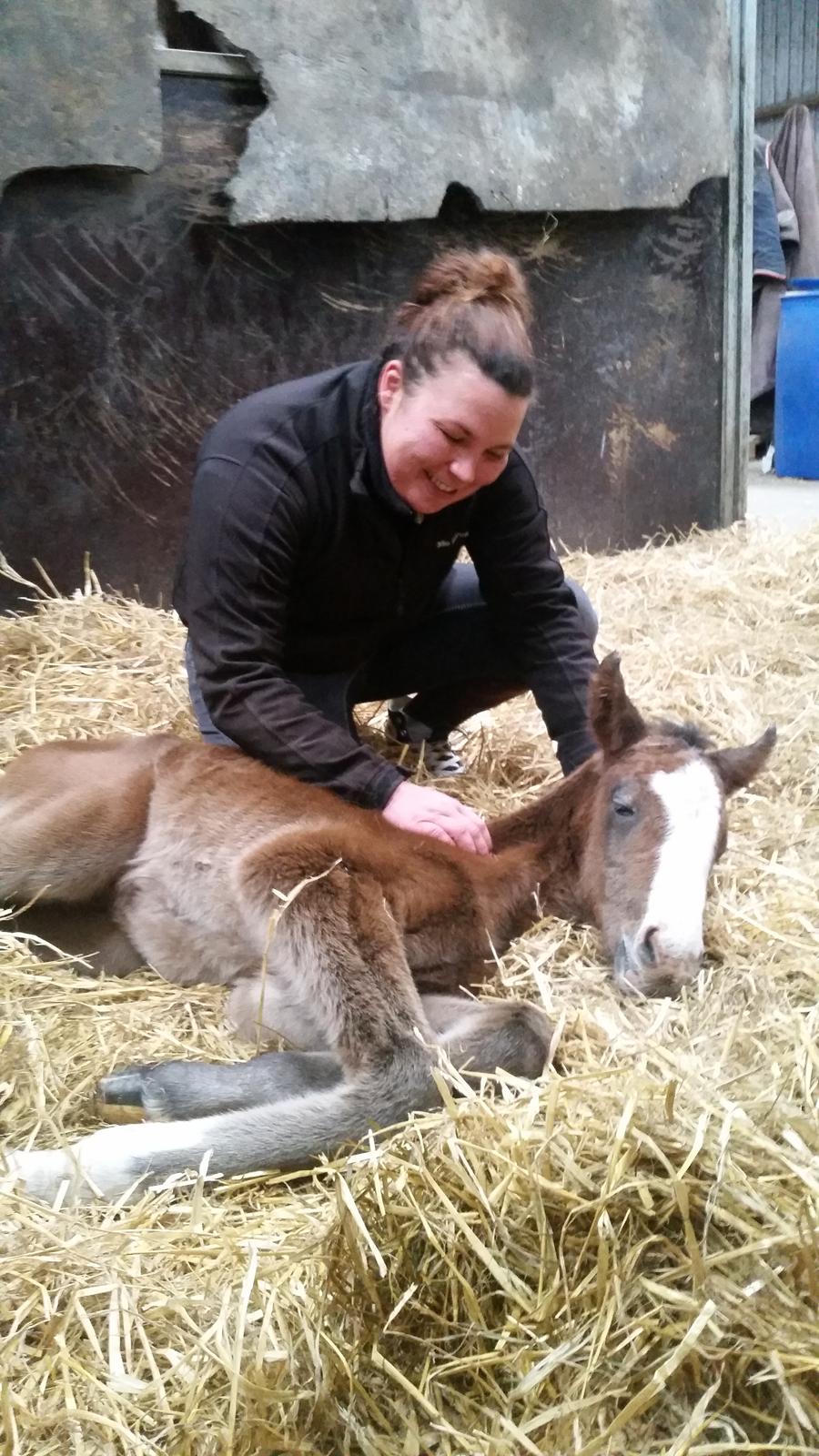 Dansk Varmblod La-Señorita Blanca  billede 10
