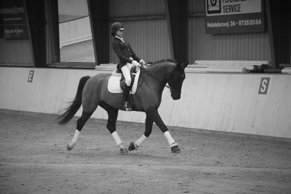 Oldenborg Fillip billede 11