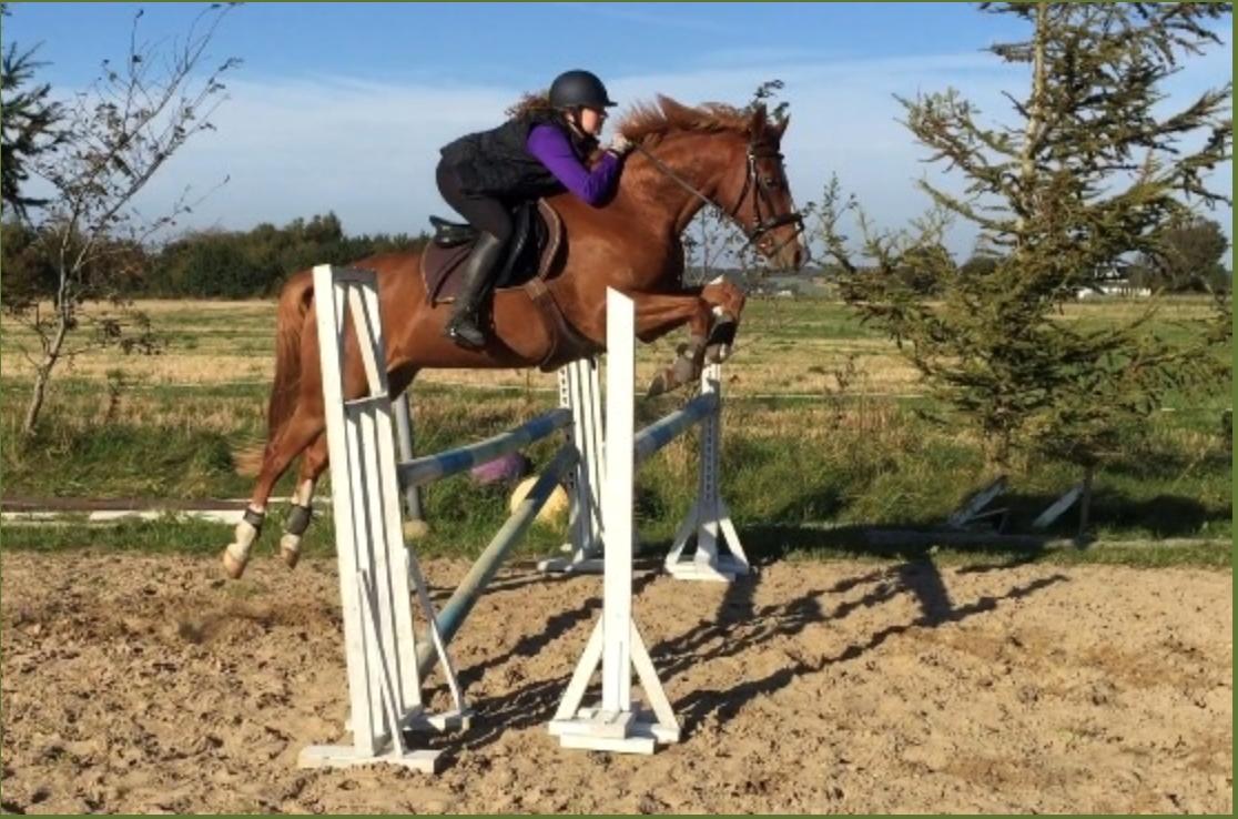 DSP Glerupgaard´s Weis - 1 meter i september  billede 7