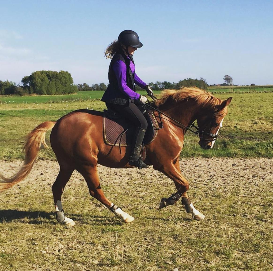 DSP Glerupgaard´s Weis billede 8