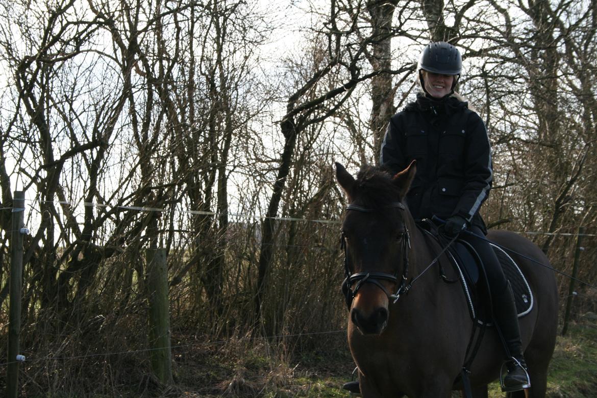 Anden særlig race Shja-shje billede 5