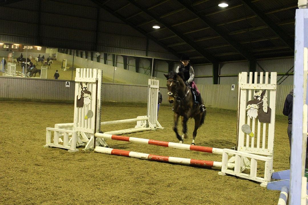 Tysk Sportspony Burghof´s voyager - 17 marts 2016 spring aften sindal rideklub billede 32