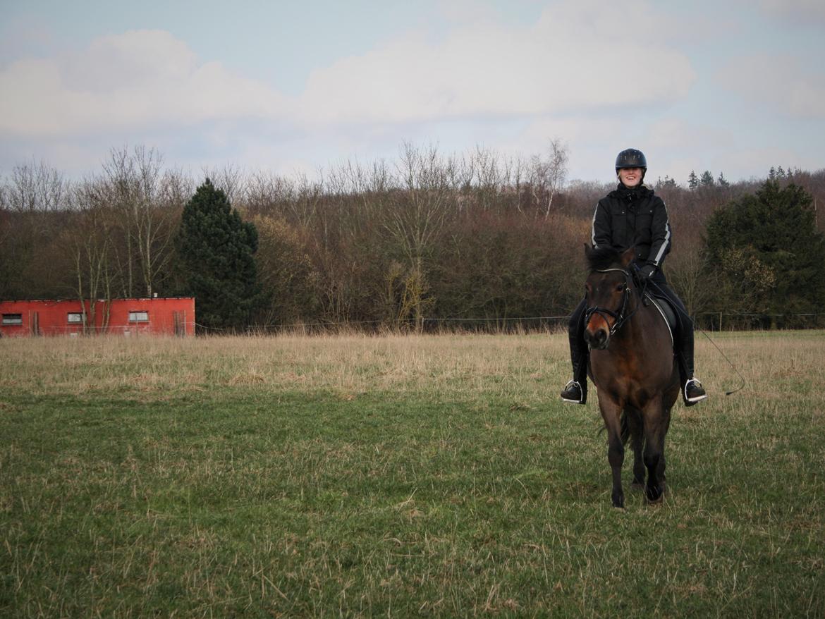 Anden særlig race Shja-shje billede 11