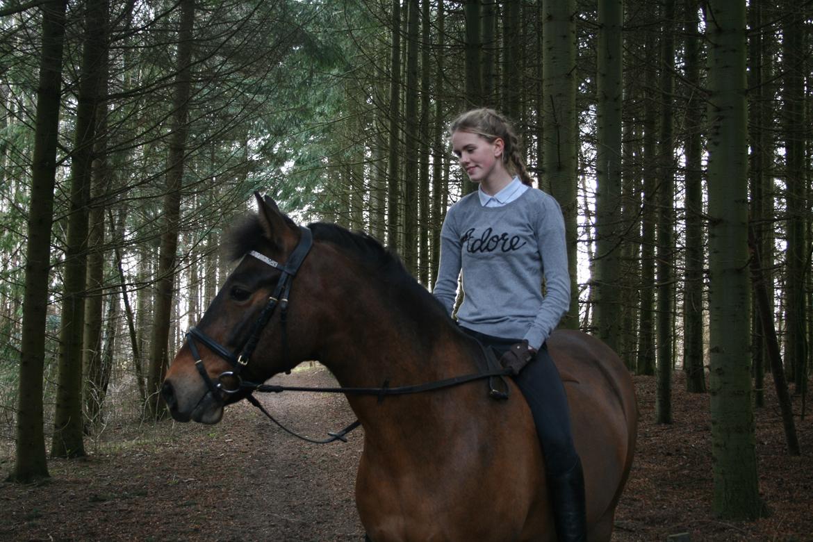 Anden særlig race Shja-shje billede 3