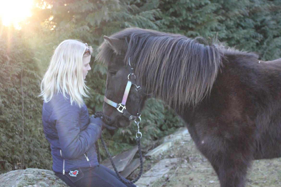 Islænder Hera fra Bredgaard - Min allerbedste soulmate og jeg <3 billede 11