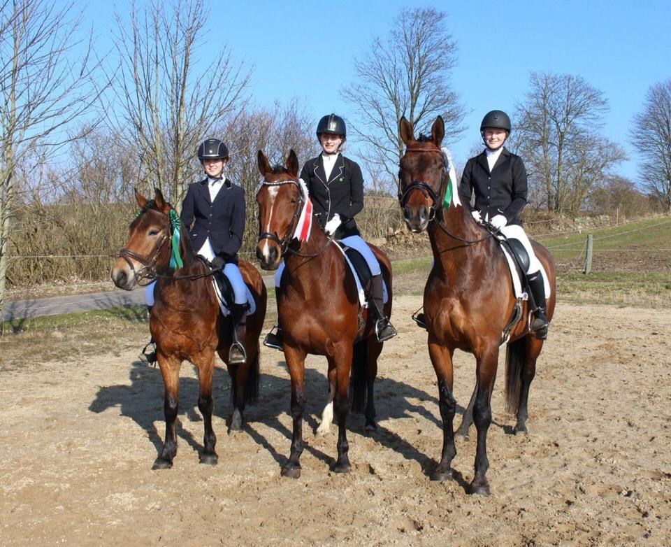 Anden særlig race Ole - Fra venstre er det Ole og jeg, Mai og Safira (Ping) og Lisa og Strabon. <3 billede 3