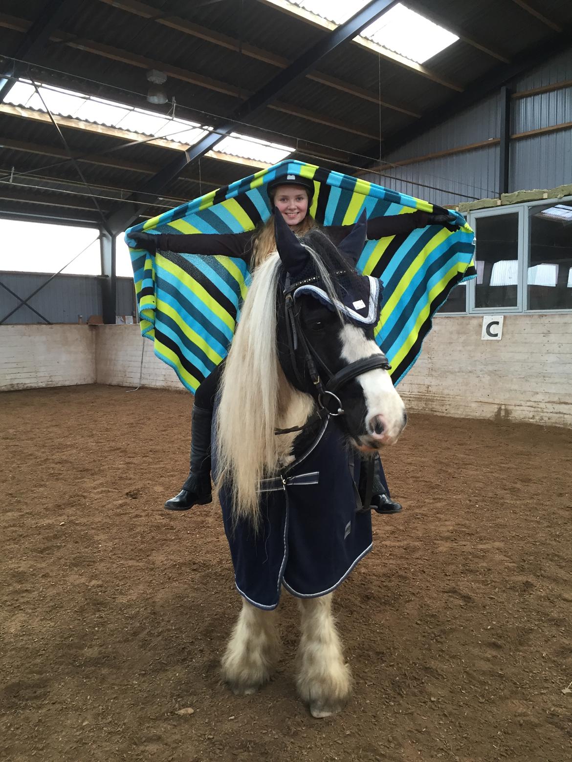 Tinker Sir Archibald af Østerbygaard billede 11