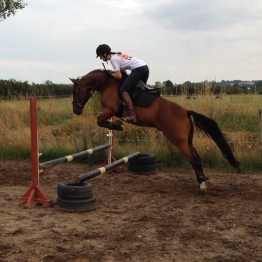 Traver Leve livet billede 20