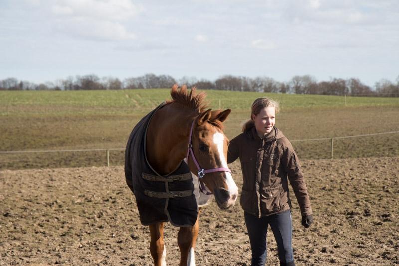 Anden særlig race Nete billede 19