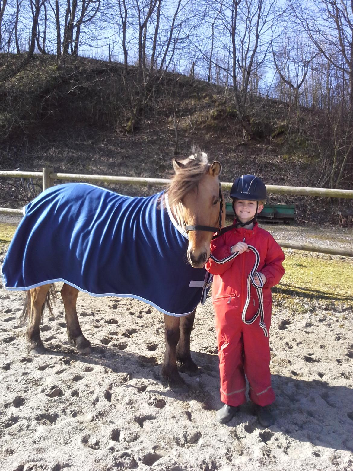 Anden særlig race Leonardo - 19 marts 2016 med ny grime og dækken :) billede 8