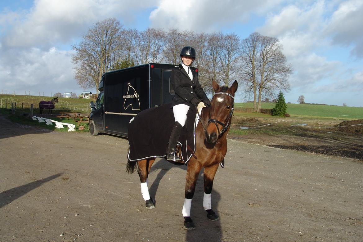 Oldenborg Ayla billede 20