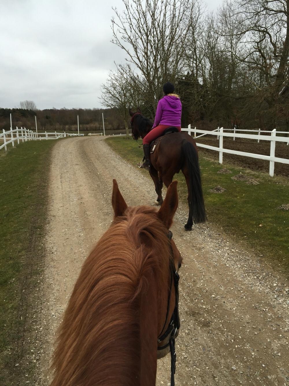 Frederiksborg Felix landlyst "aflivet" billede 2