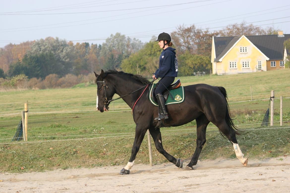 Anden særlig race Exquisit Quest - aka. Saga billede 4