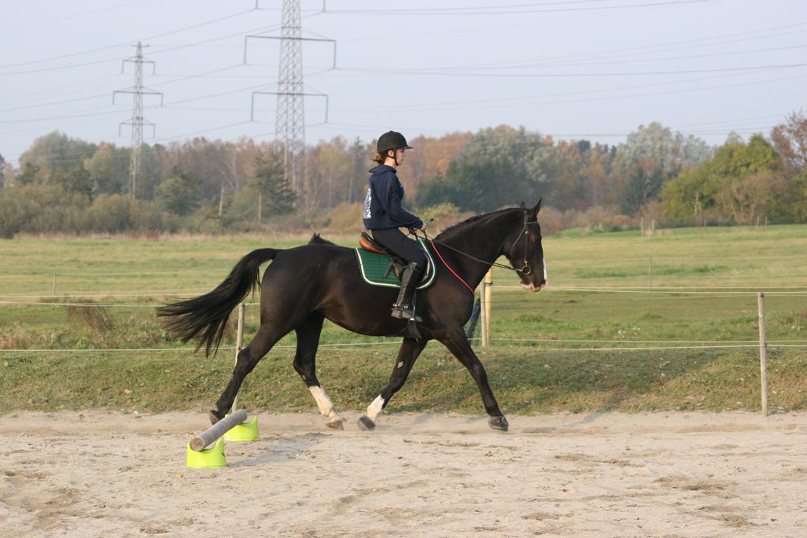 Anden særlig race Exquisit Quest - aka. Saga billede 5