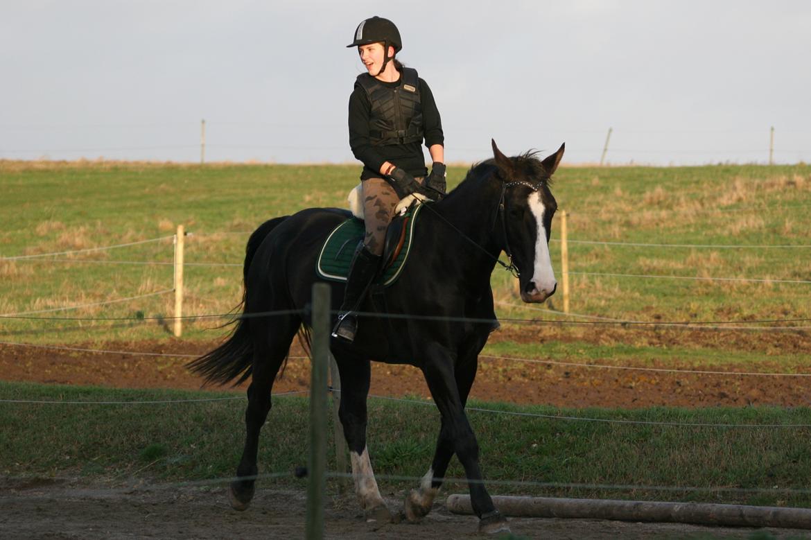 Anden særlig race Exquisit Quest - aka. Saga billede 6