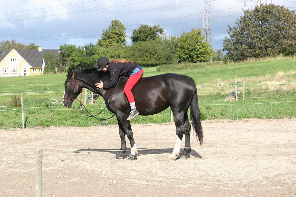 Anden særlig race Exquisit Quest - aka. Saga billede 3