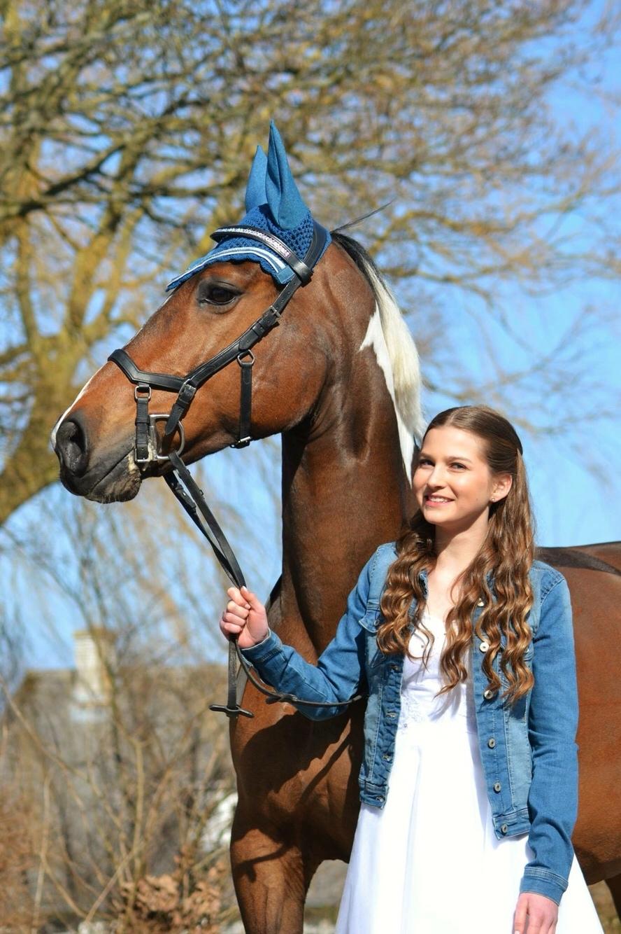 Pinto Thiamo billede 8