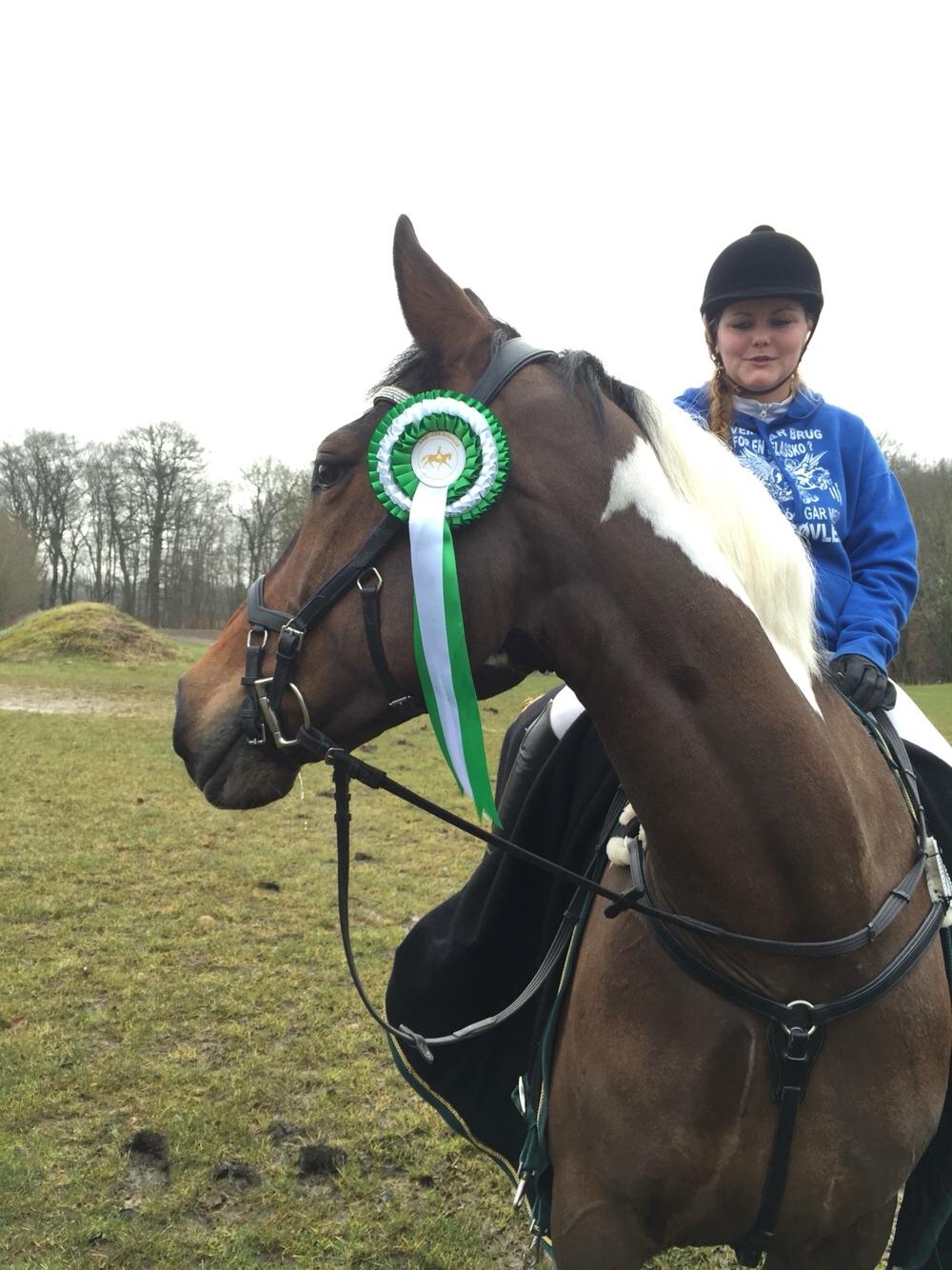 Pinto Thiamo billede 9