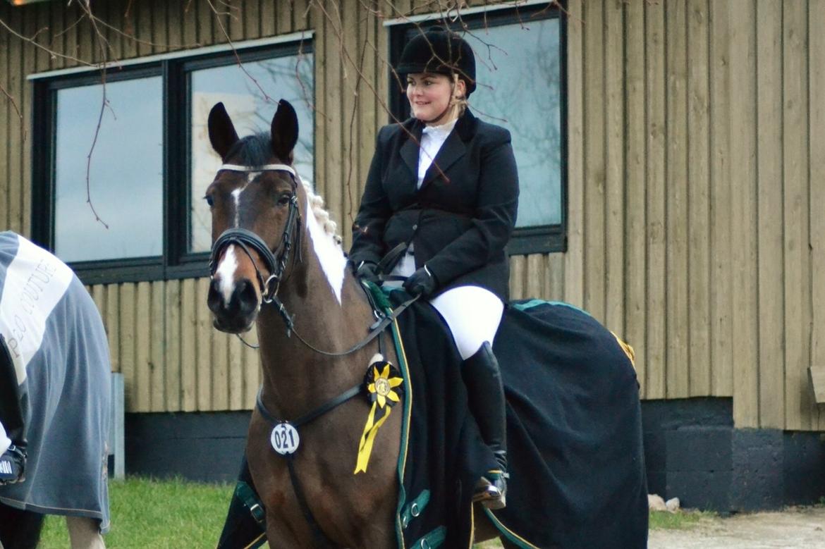 Pinto Thiamo billede 15