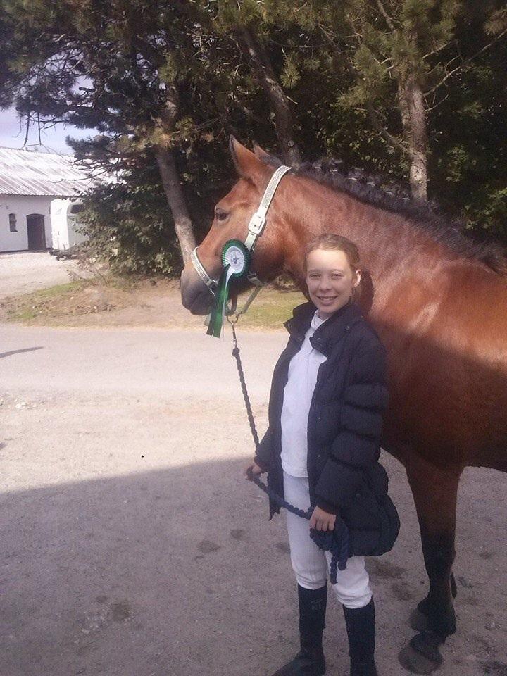 DSP Beauty billede 14