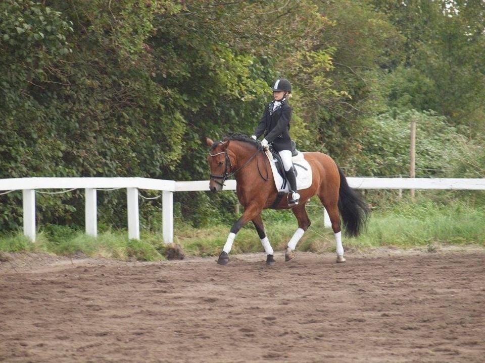 DSP Beauty billede 15