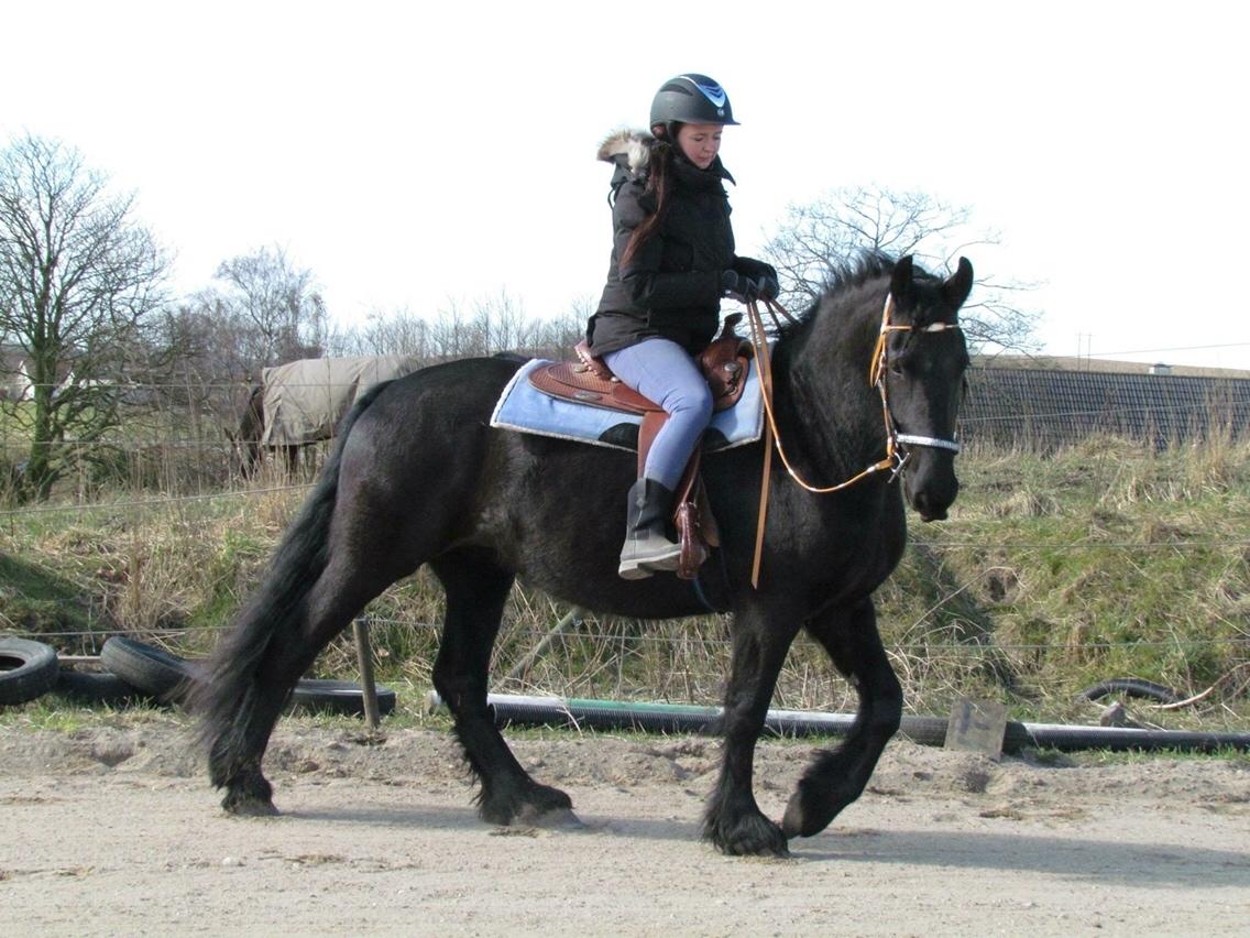 Frieser Frauke van de Fulgleholt billede 15