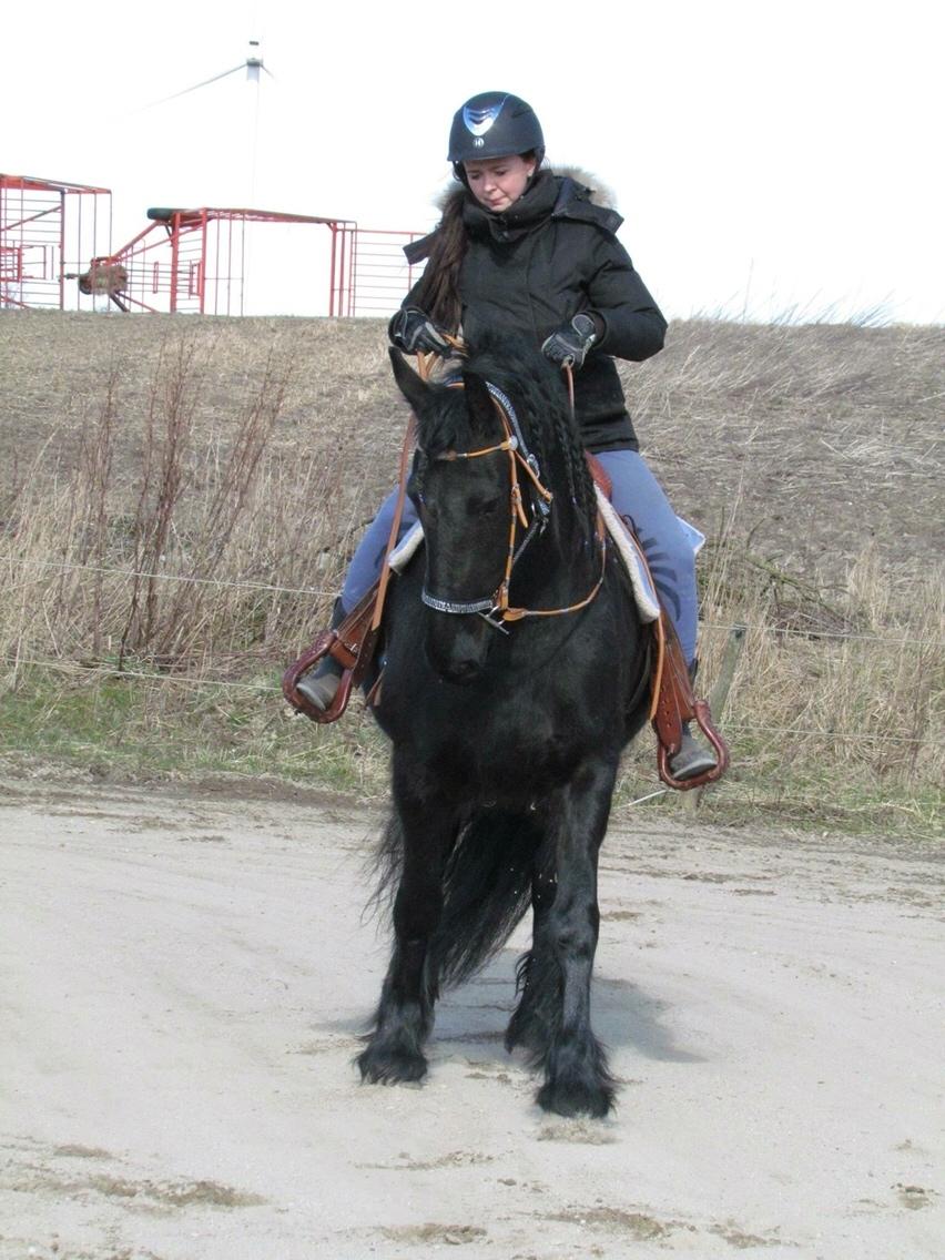 Frieser Frauke van de Fulgleholt billede 16