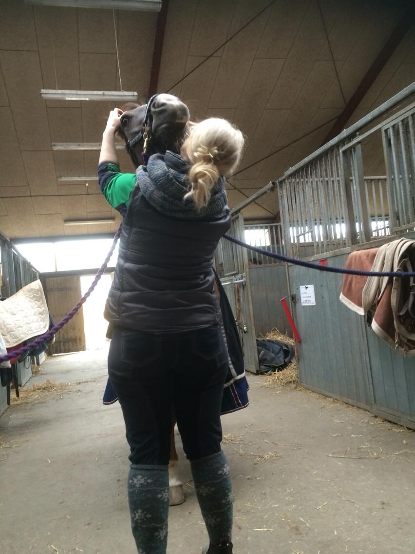 DSP Carla damgård billede 14