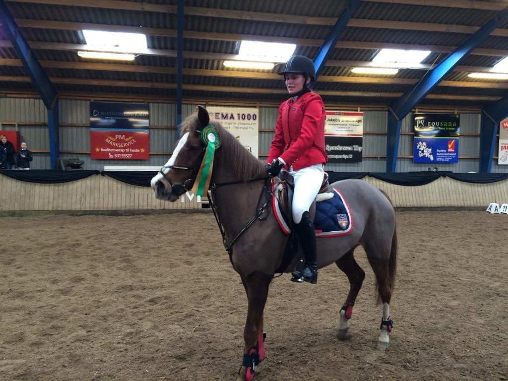 Anden særlig race Hanna Montana billede 22