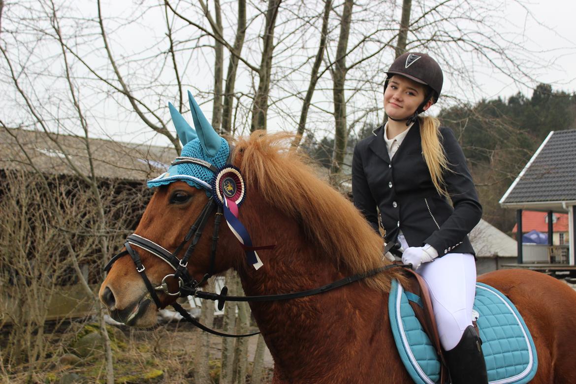 New Forest Nina (Ninja) billede 14