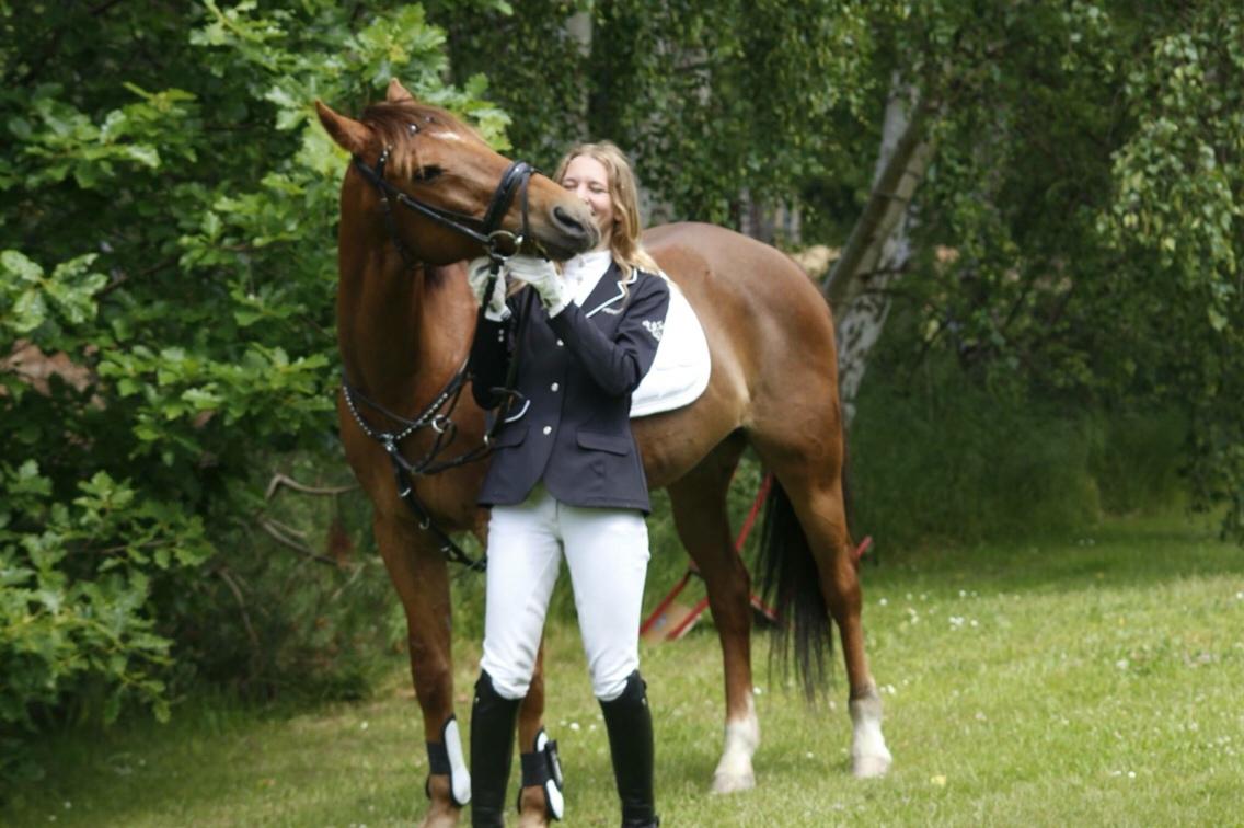 Irsk Sportspony Eds Star billede 2