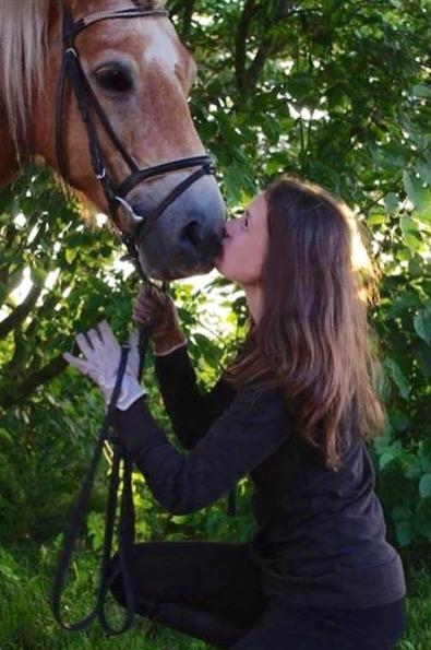 Haflinger Liva billede 19
