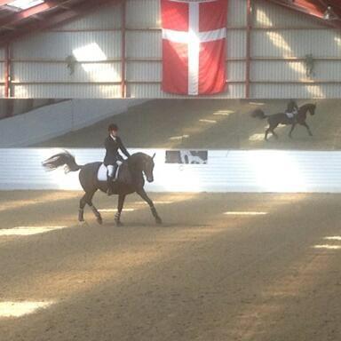 Holstener SÅ LA DA VÆR billede 11