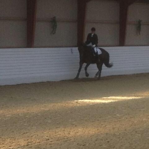 Holstener SÅ LA DA VÆR billede 12