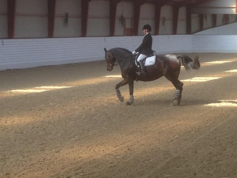 Holstener SÅ LA DA VÆR billede 14