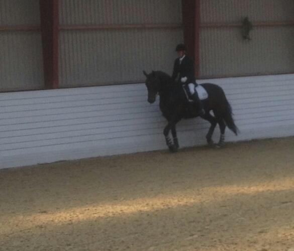 Holstener SÅ LA DA VÆR billede 13