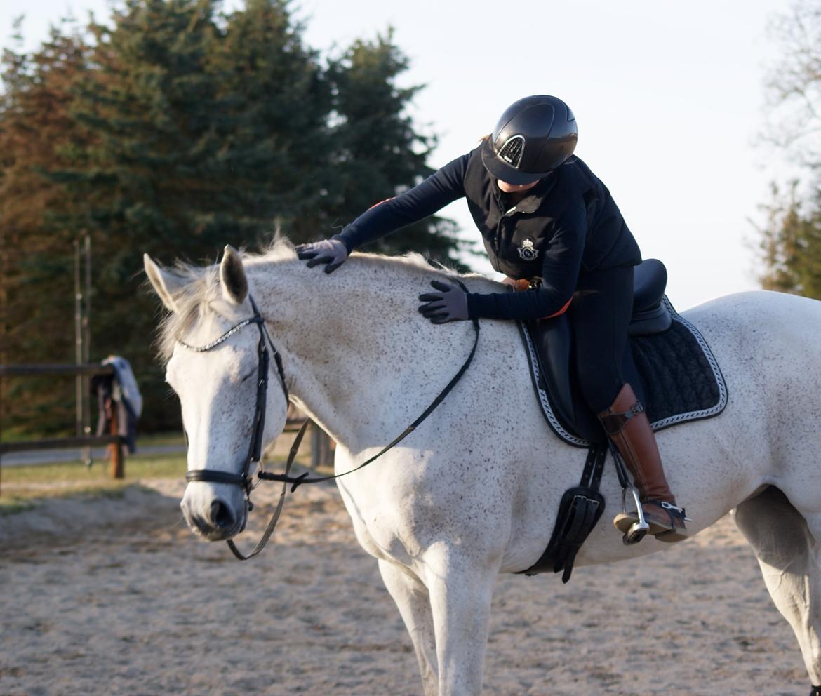 Holstener Animera billede 8