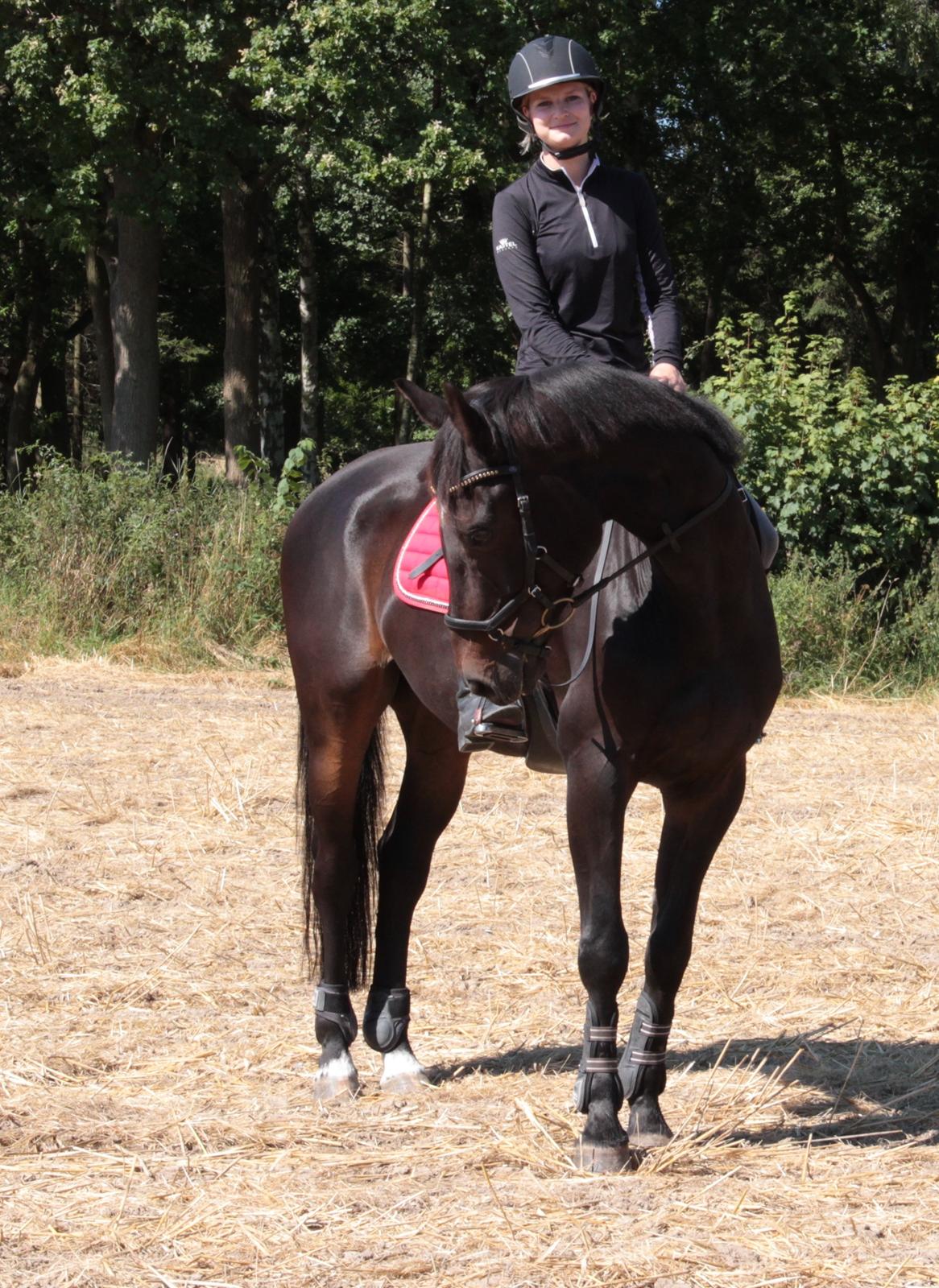 Anden særlig race Lover boy - August 2015 billede 15