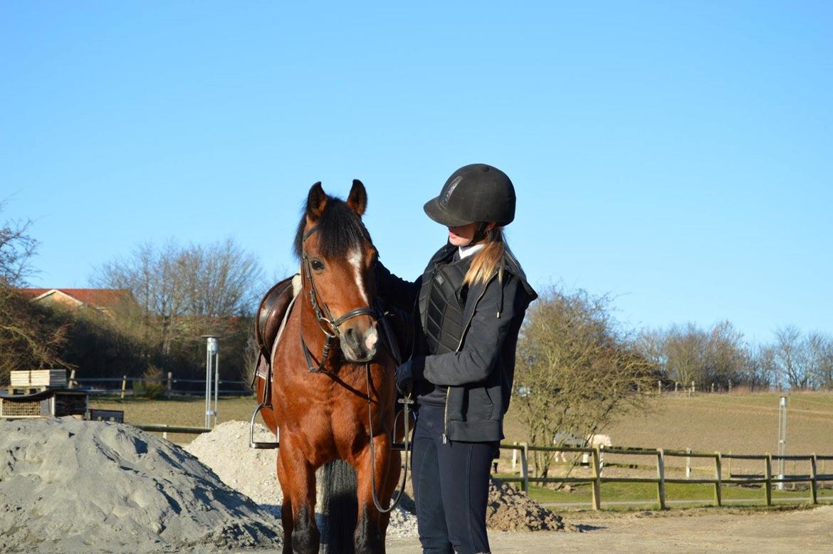 Anden særlig race Premiat (Prop) billede 8