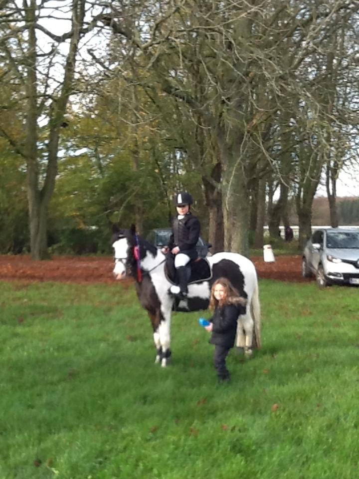 Pinto Svalegårdens Alberte - første gang jeg vandt en klasse på dig :-) billede 2