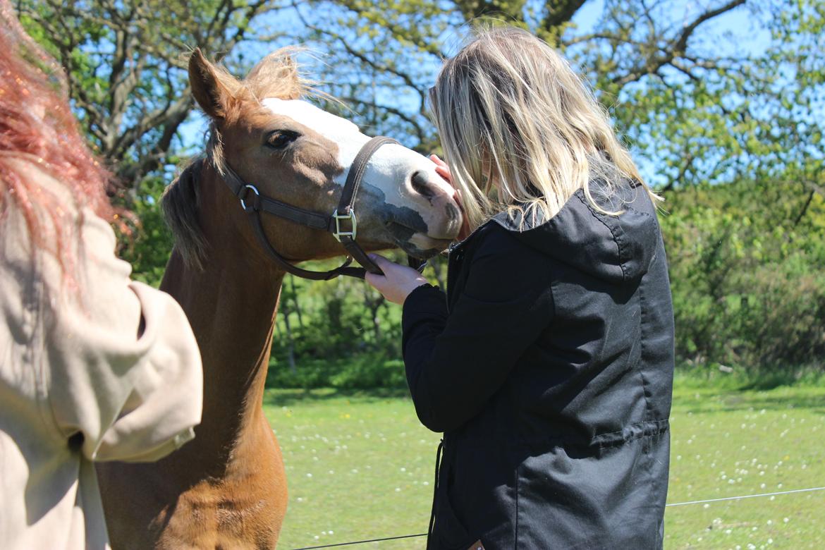 Anden særlig race Miss lucy billede 2