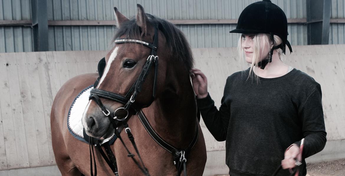 New Forest Faktizk billede 1