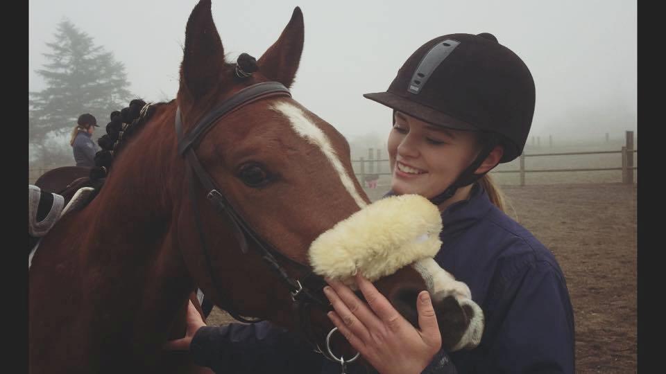 Arabisk fuldblod (OX) TU Elix OX billede 2