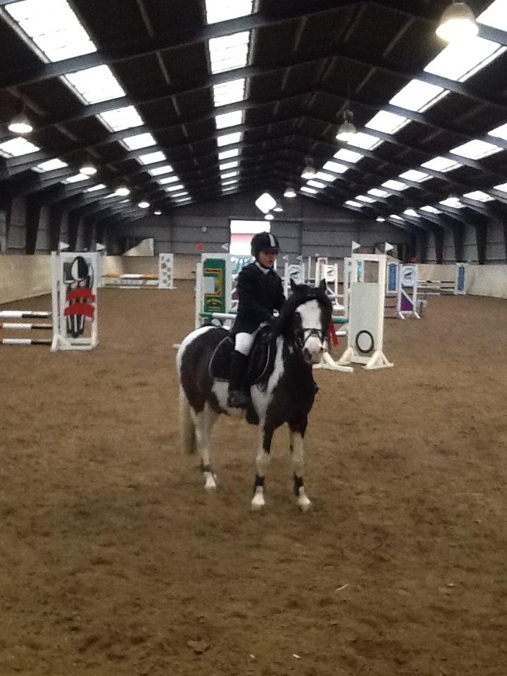 Pinto Svalegårdens Alberte - vores første C stævne :-) billede 5